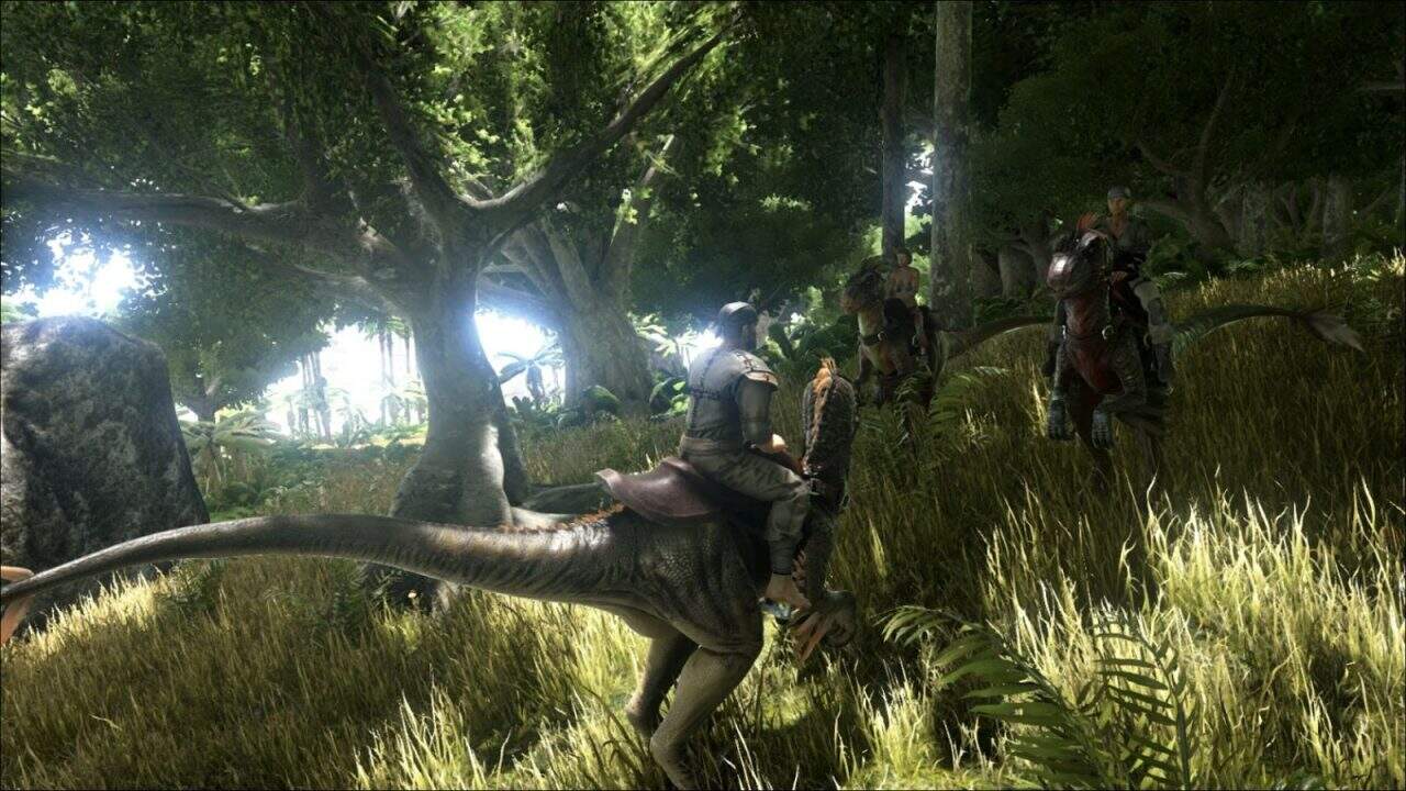 ARK7 | The Outerhaven