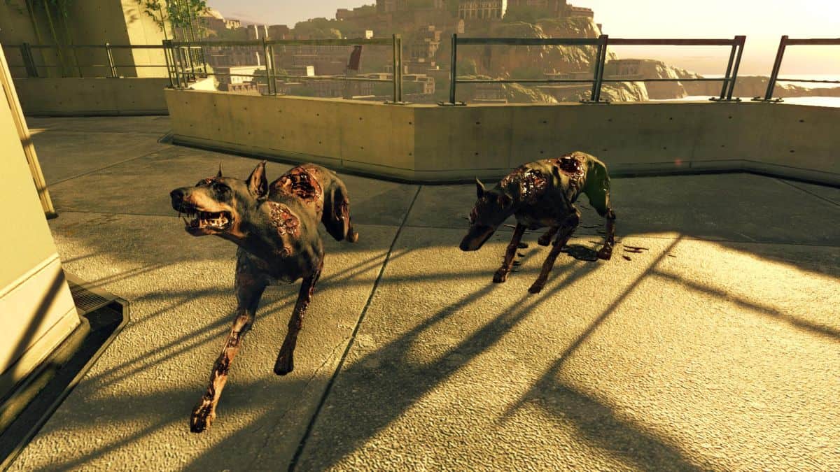 Cerberus_bmp_jpgcopy | The Outerhaven