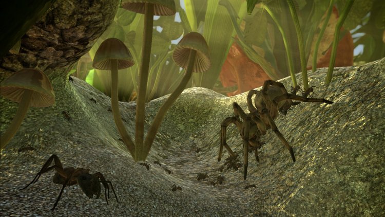 ant-simulator-750x | The Outerhaven