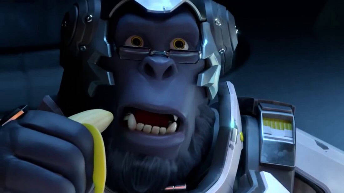 winston | The Outerhaven