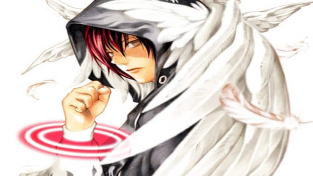 platinum end | The Outerhaven platinum end
