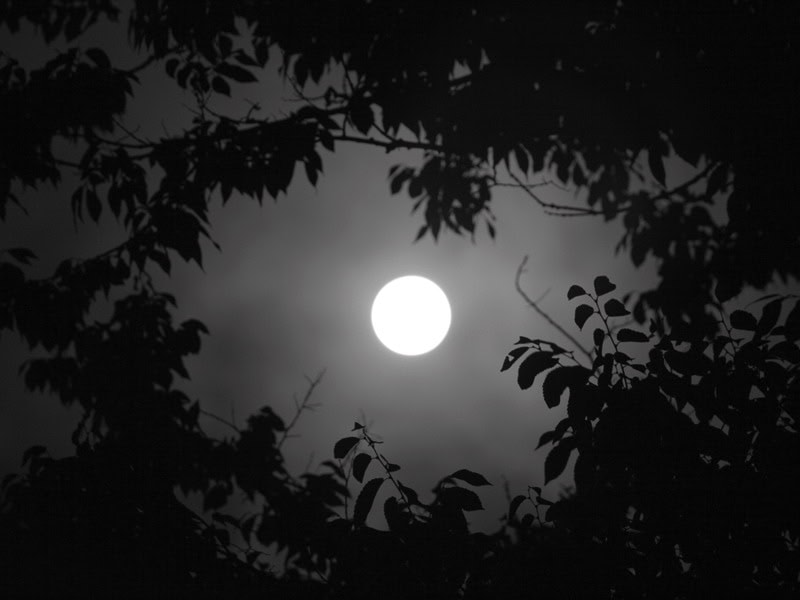 spooky | The Outerhaven