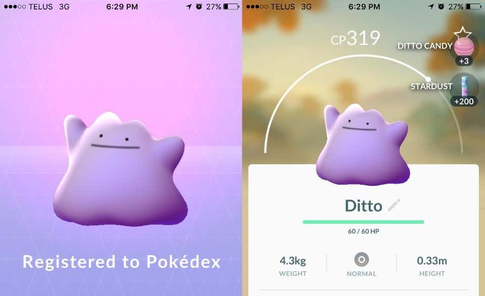 ditto-caught1 | The Outerhaven Ditto Pokemon GO