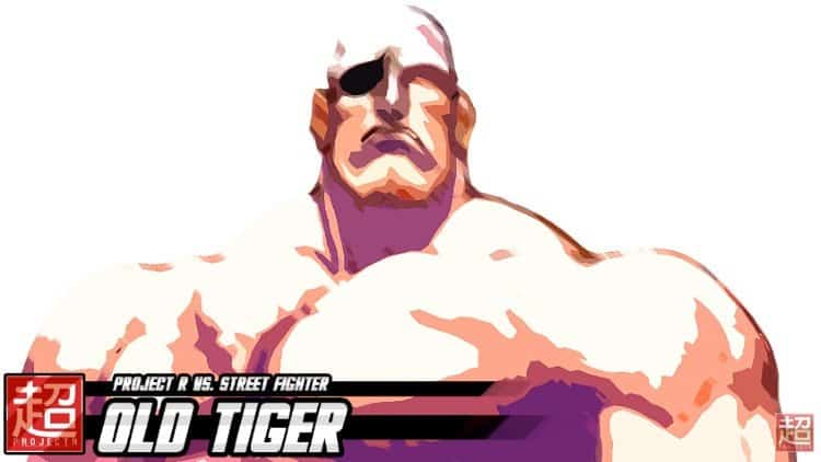 OLD TIGER - SAGAT STREET FIGHTER 2 RMIX | The Outerhaven