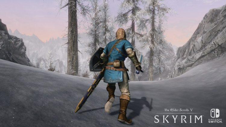 Skyrim Bethesda