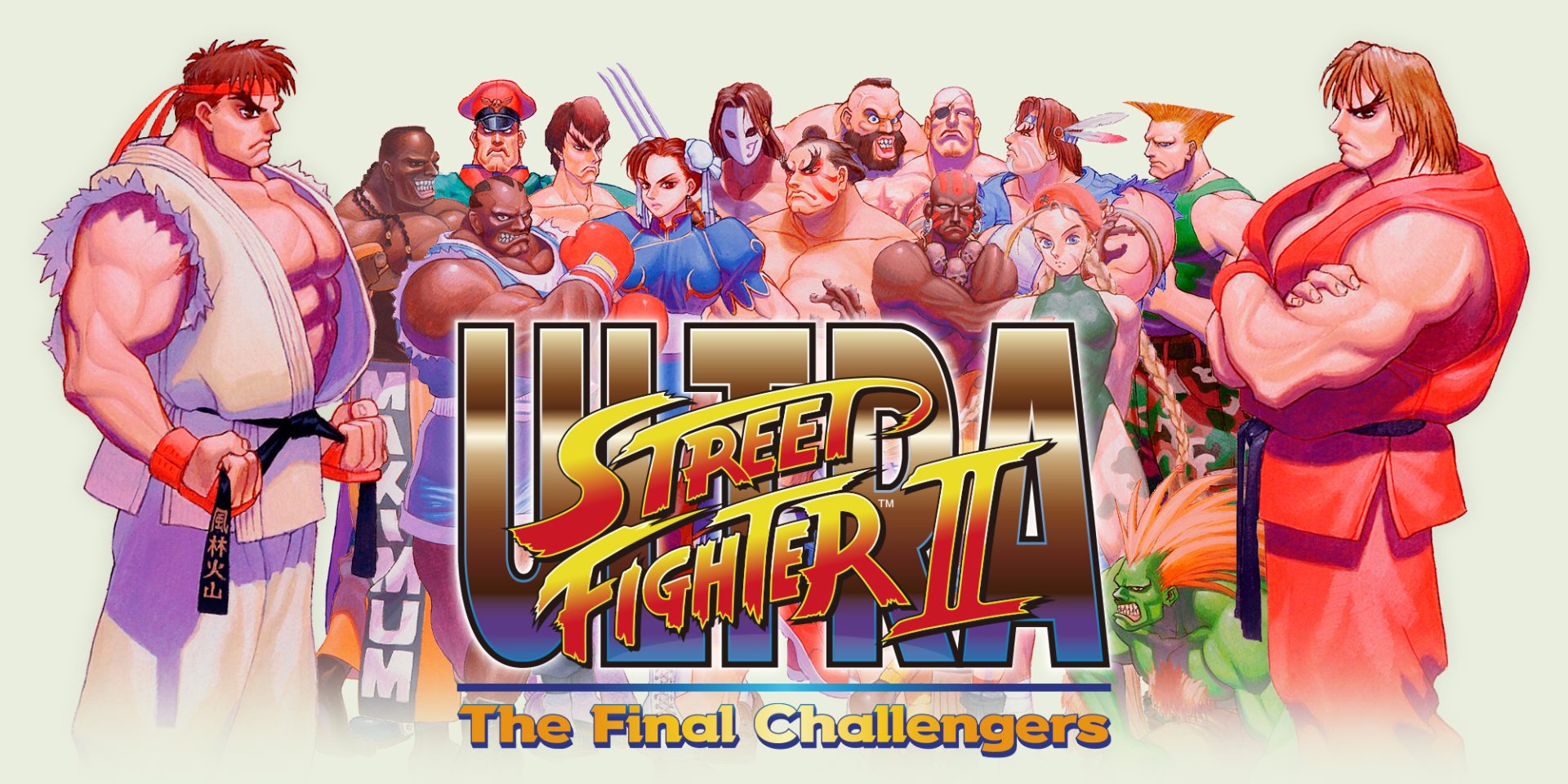 NSwitch_UltraStreetFighter2TheFinalChallengers | The Outerhaven