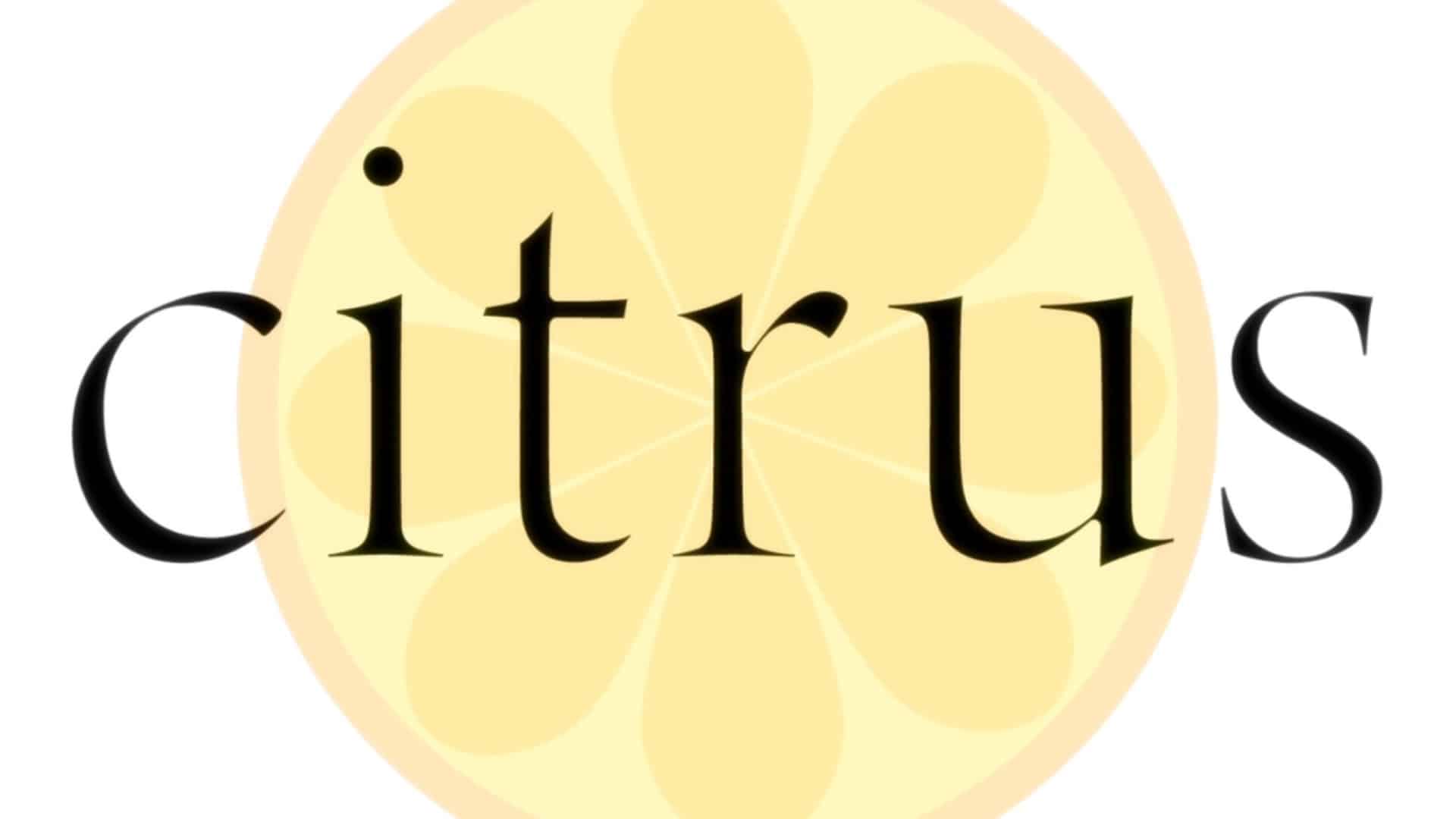 Citrus | The Outerhaven Citrus