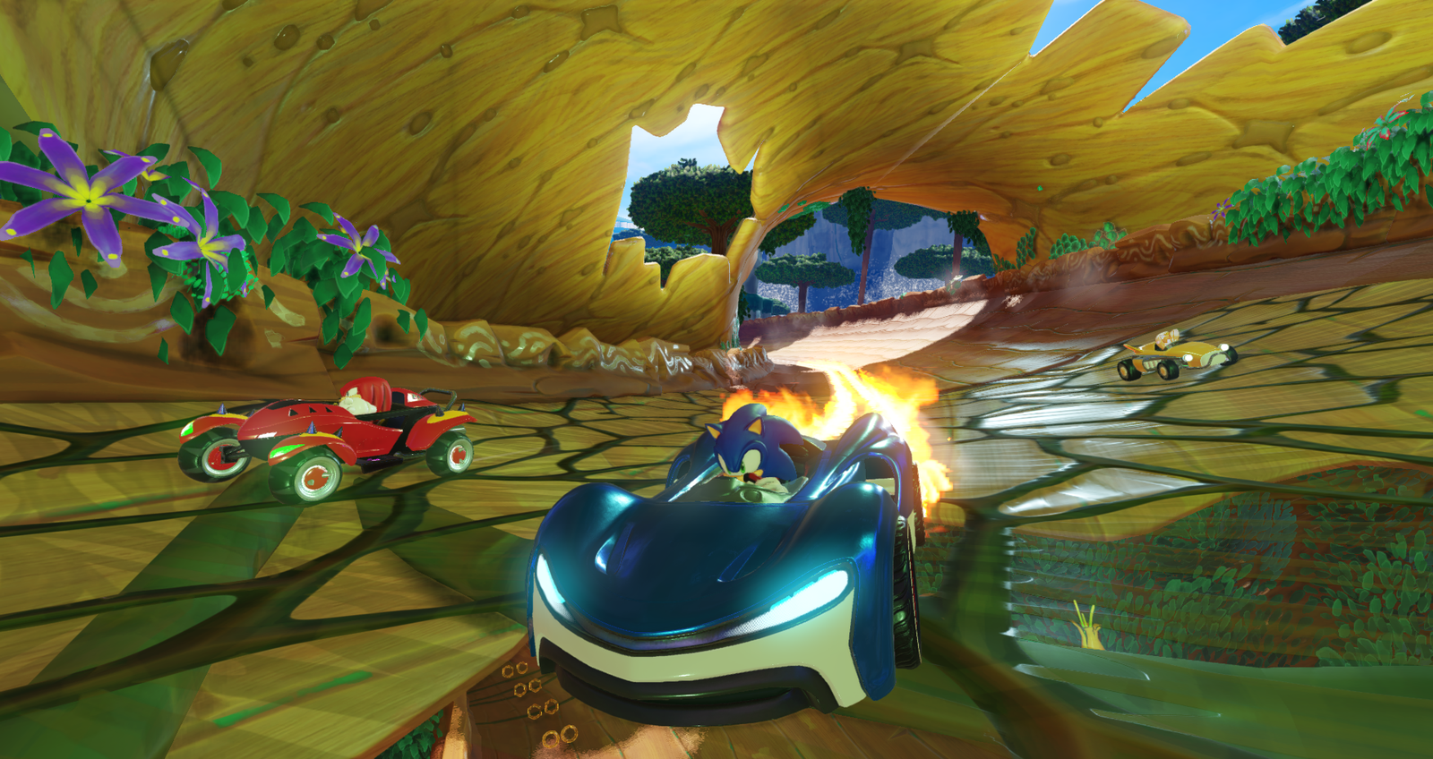 team-sonic-racing-03-5-30-2018