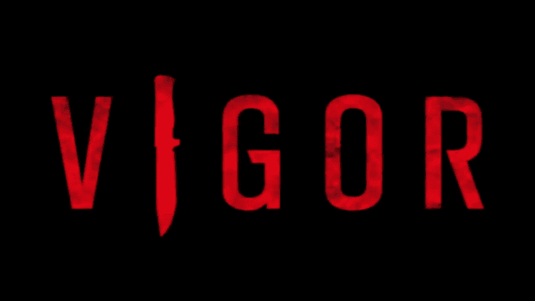 vigor-game-header | The Outerhaven vigor-game-header