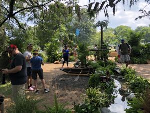 Pokemon Go Fest Rainforest Habitat