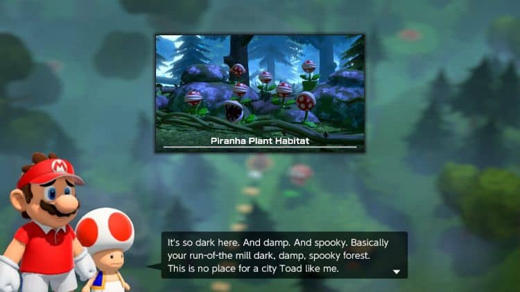 MTA Story Toad | The Outerhaven Toad Mario Tennis Aces Review
