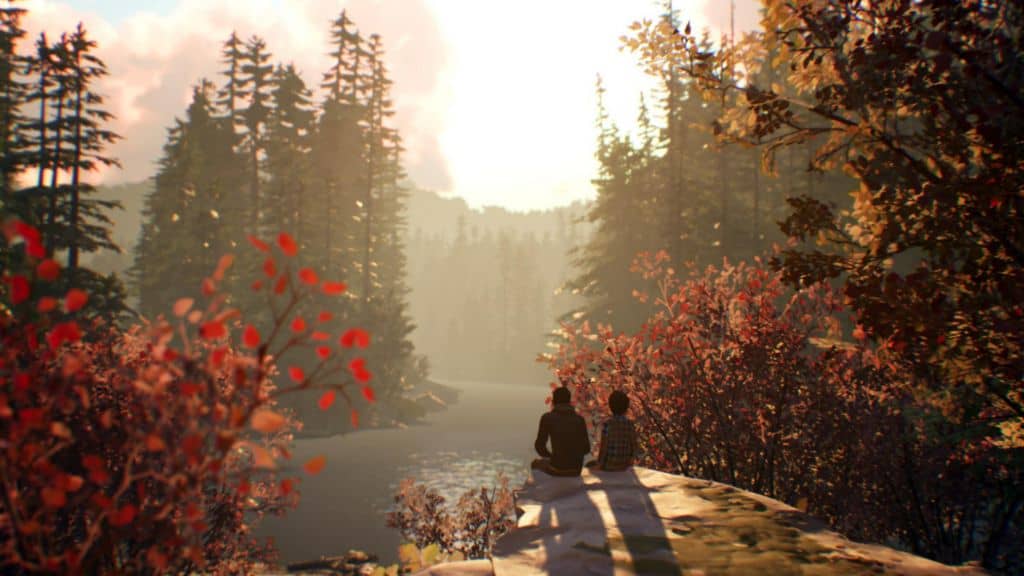 life is strange 2 woods | The Outerhaven