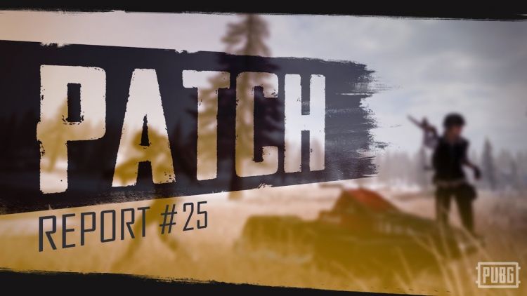 PUBG-update25