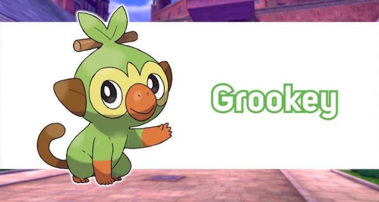 Facts Grookey Is The Best Starter In Pokemon Sword And