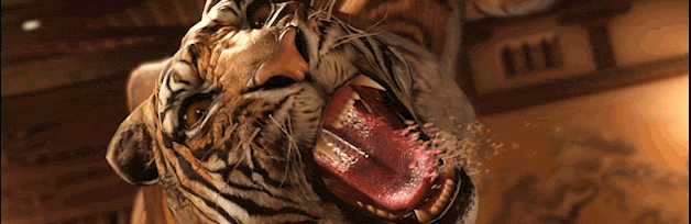 Tiger_Kick_GIF_01 | The Outerhaven