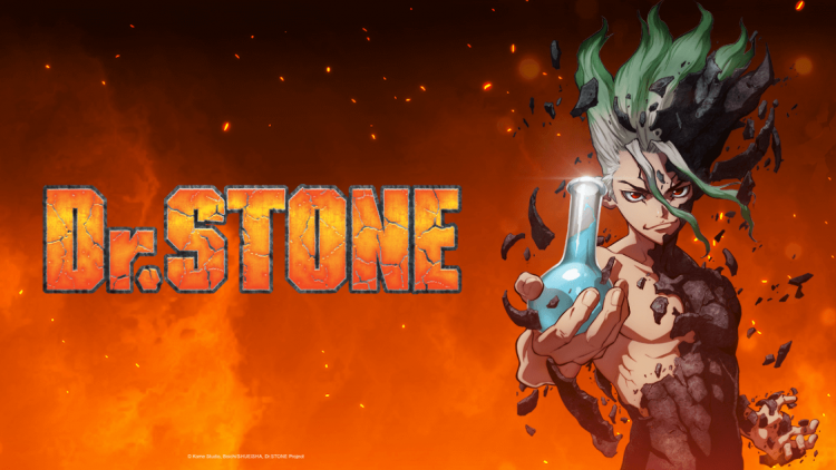 Dr. STONE