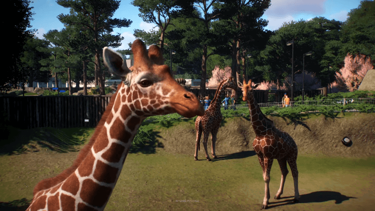 Planet Zoo