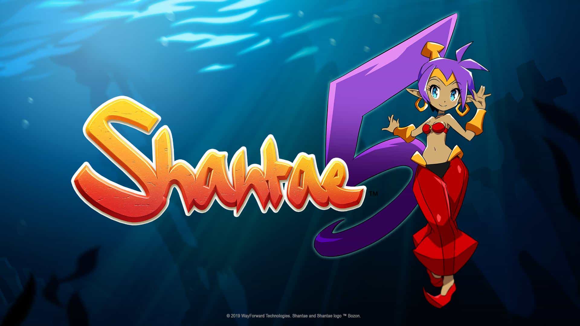 Shantae 5 Teaser Artwork | The Outerhaven Shantae 5 Teaser Artwork