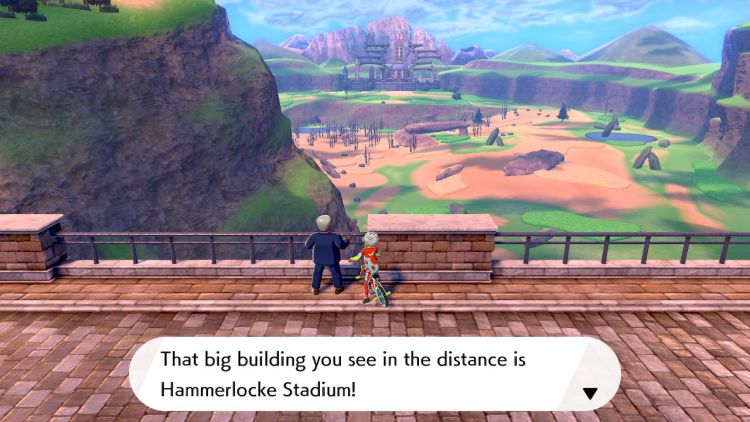 Pokemon Sword and Shield screenshot-21