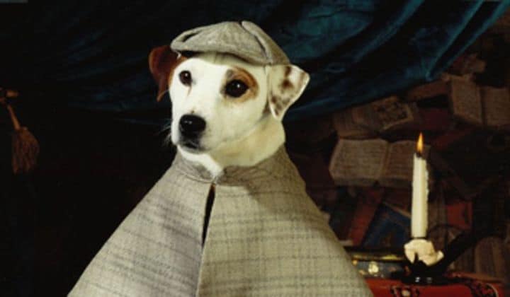 Wishbone-movie | The Outerhaven