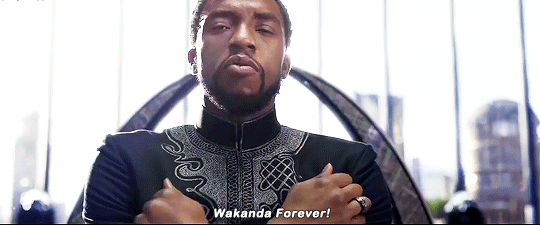 Chadwick Boseman - Wakanda Forever | The Outerhaven