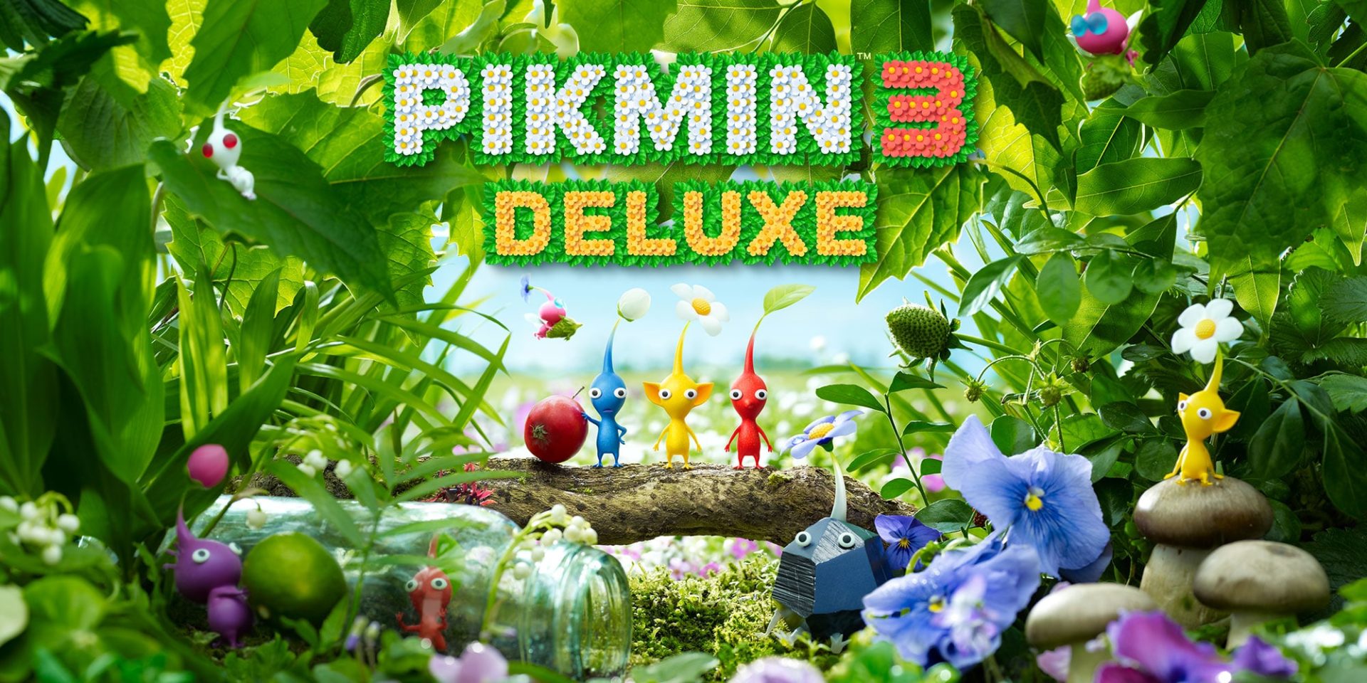 H2x1_NSwitch_Pikmin3Deluxe | The Outerhaven