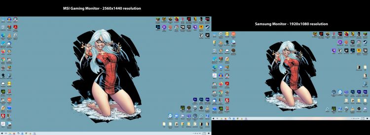monitor comparison | The Outerhaven