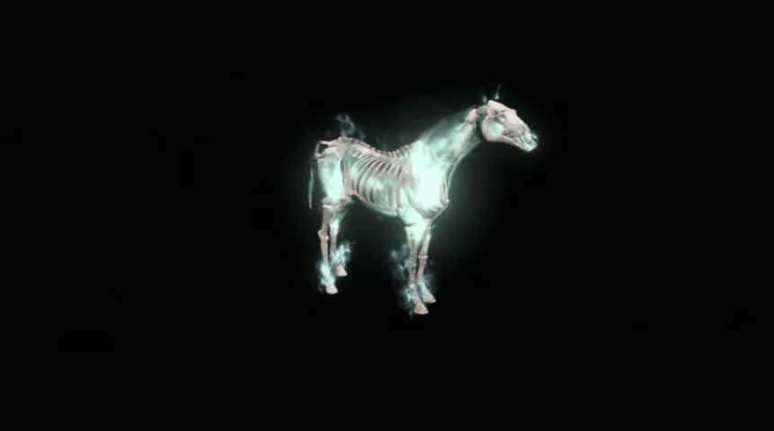 Mounts Will Play An Important Part In Diablo IV Diablo V Mounts-Undead Mount