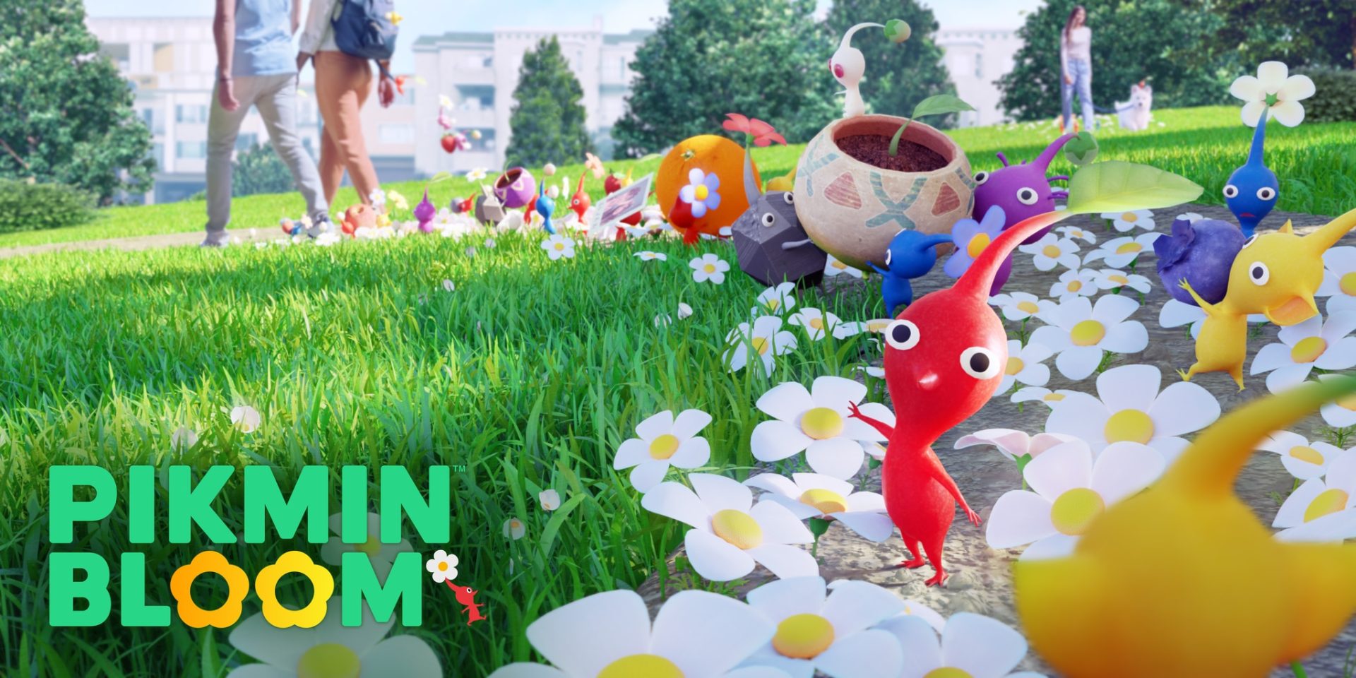 pikmin-bloom | The Outerhaven Pikmin Bloom
