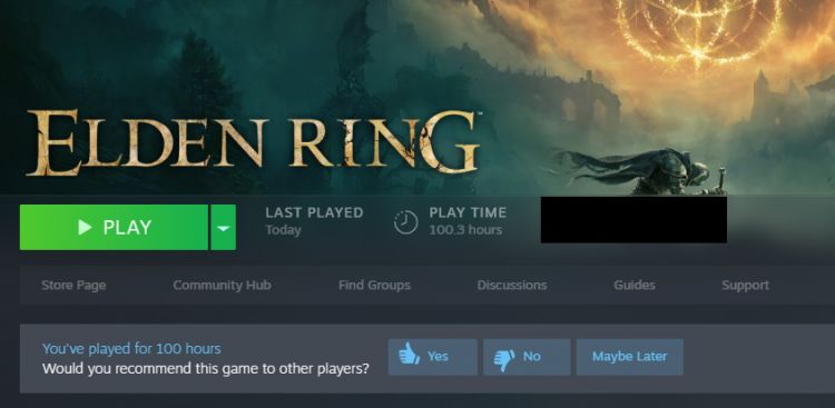 Elden Ring review - time played