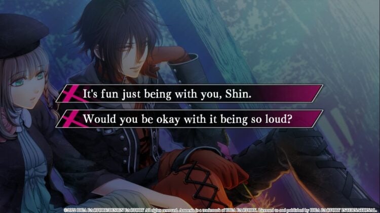 Amnesia: Memories Nintendo Switch Review | The Outerhaven Amnesia: Memories Shin Dialogue Choice