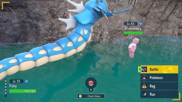 Pokemon-Battle | The Outerhaven