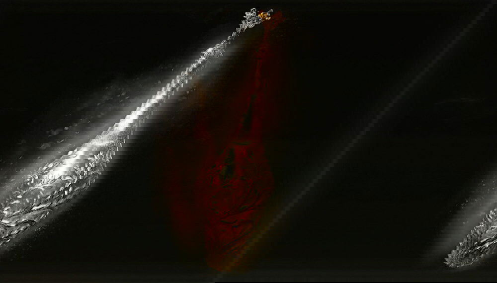 Where To Find Blessing of Marika's in Elden Ring Shadow of the Erdtree