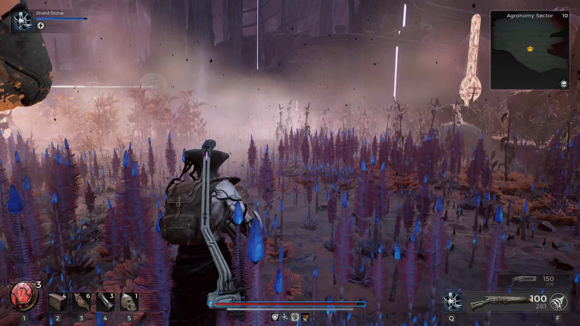 remnant 2 - look at all the flowers | The Outerhaven remnant 2 - look at all the flowers