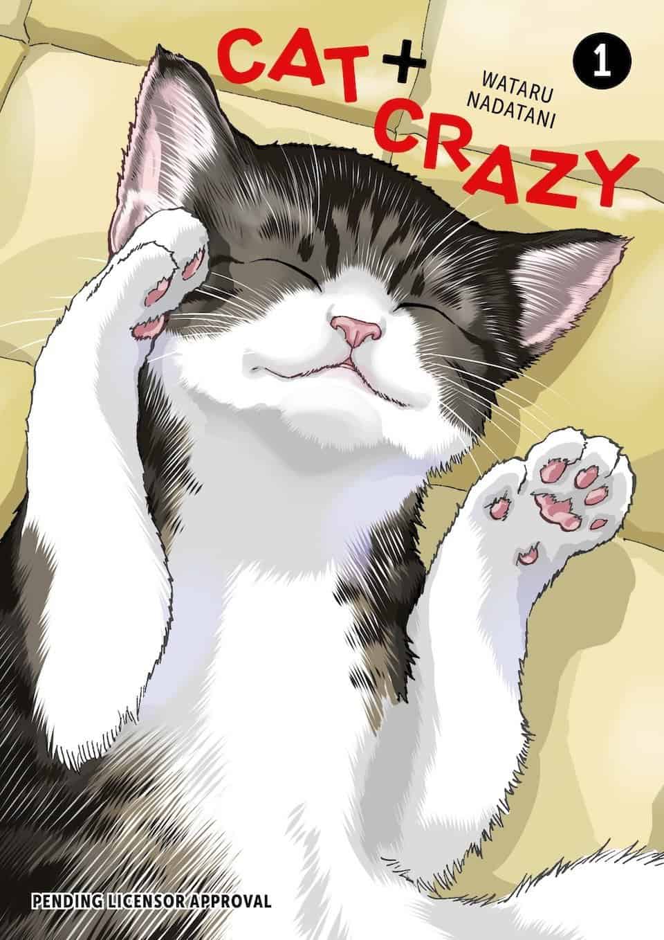 cat-crazy | The Outerhaven Cat + Crazy
