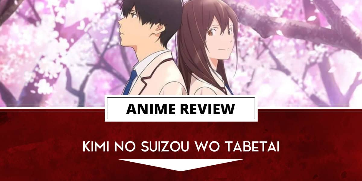 pancreas | The Outerhaven Kimi no Suizou wo Tabetai