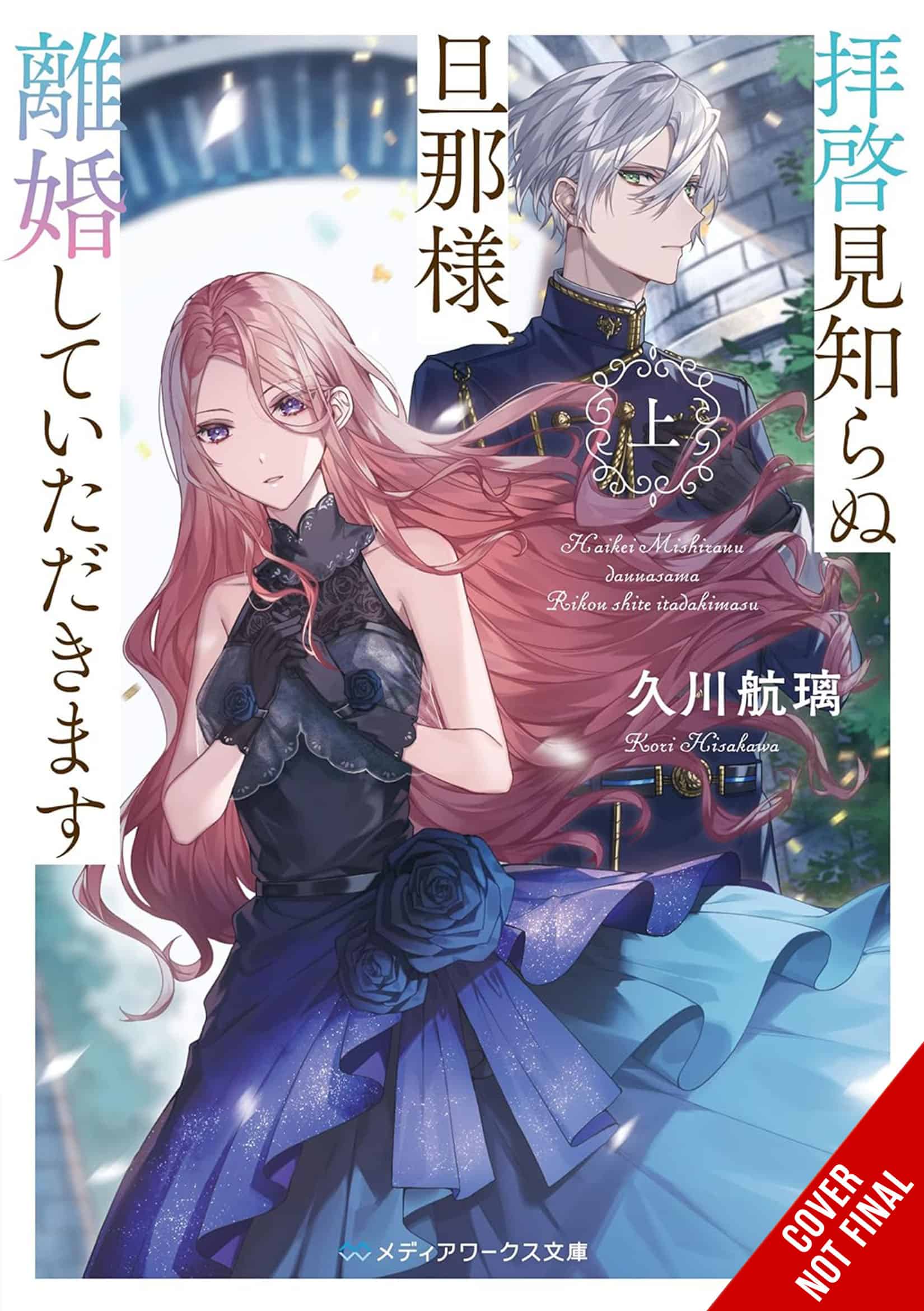To Sir Without Love- Im Divorcing You Vol 1 - Part 1 light novel CNF | The Outerhaven