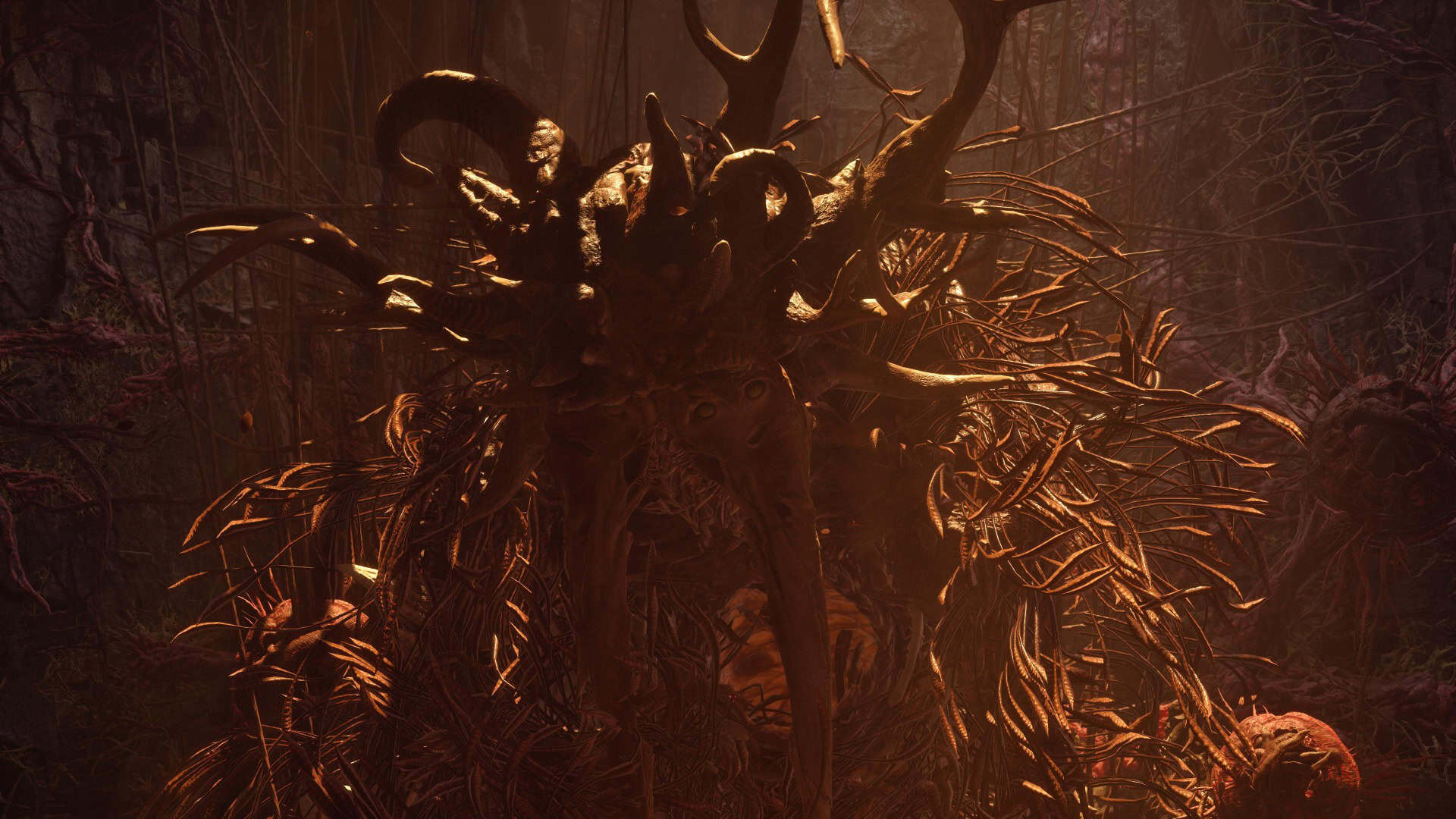 Saros First Boss - Prophet | The Outerhaven Saros First Boss - Prophet