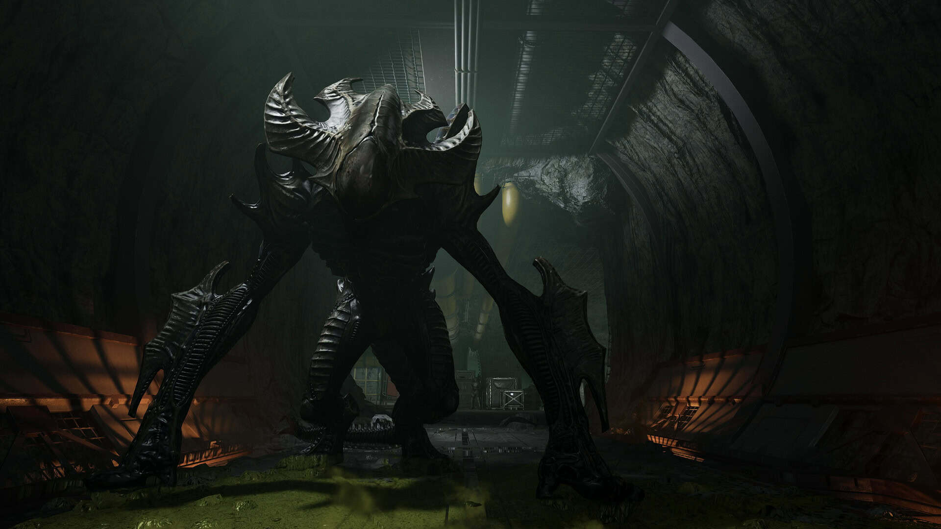 ss_e2266b9bd7e665b2a1e4df9d53379f77bb8fc48d1920x1080 | The Outerhaven Large, dark alien creature with a ridged exoskeleton stands in a dim, industrial tunnel/ corridor.