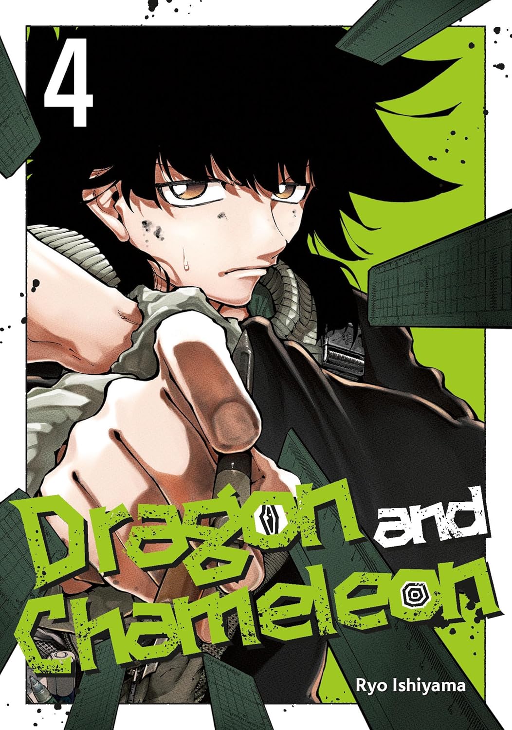 Dragon and Chameleon