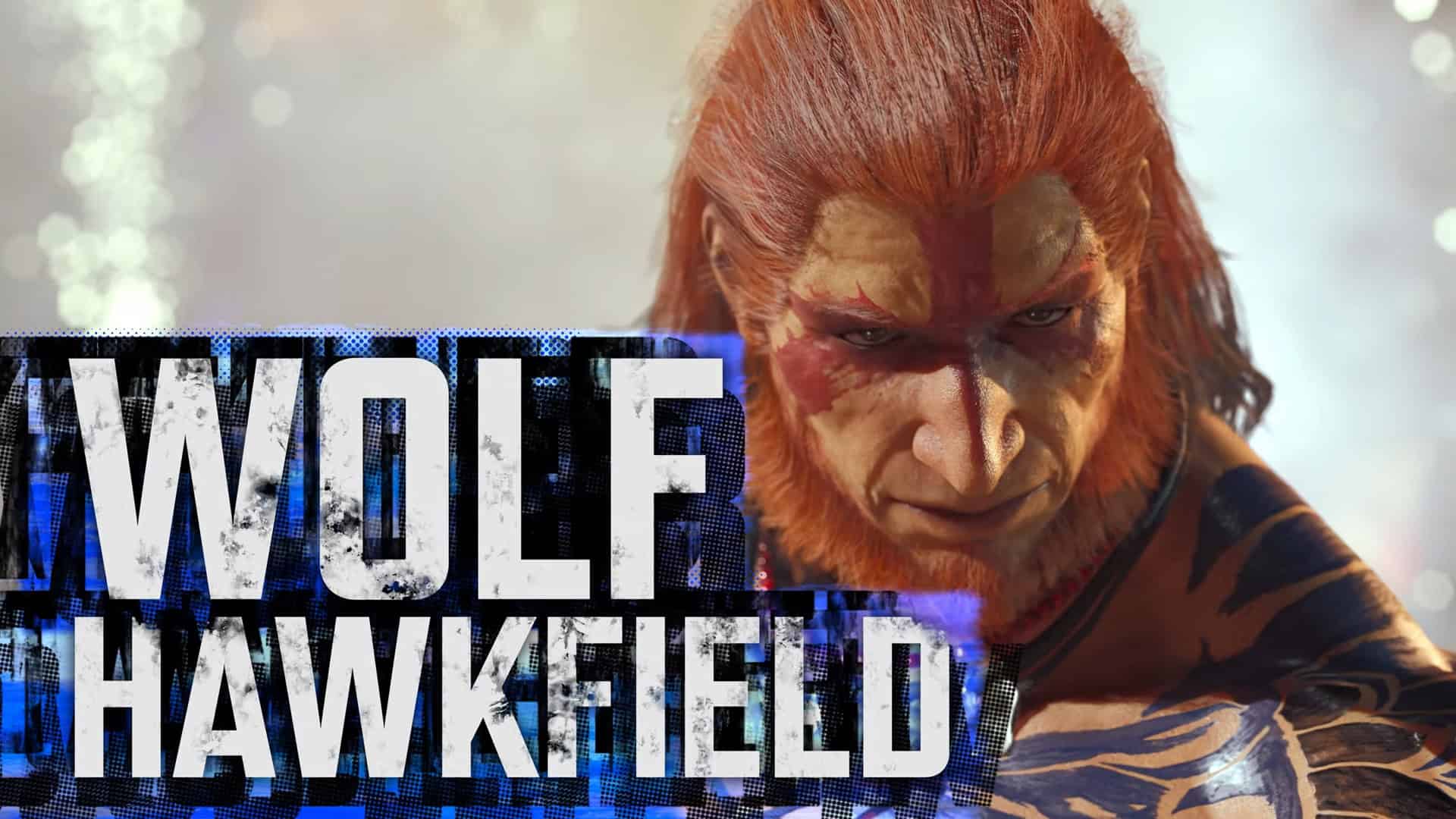 Virtua Fighter 5 Wolf