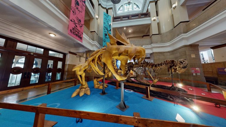 Pokemon Fossil Museum