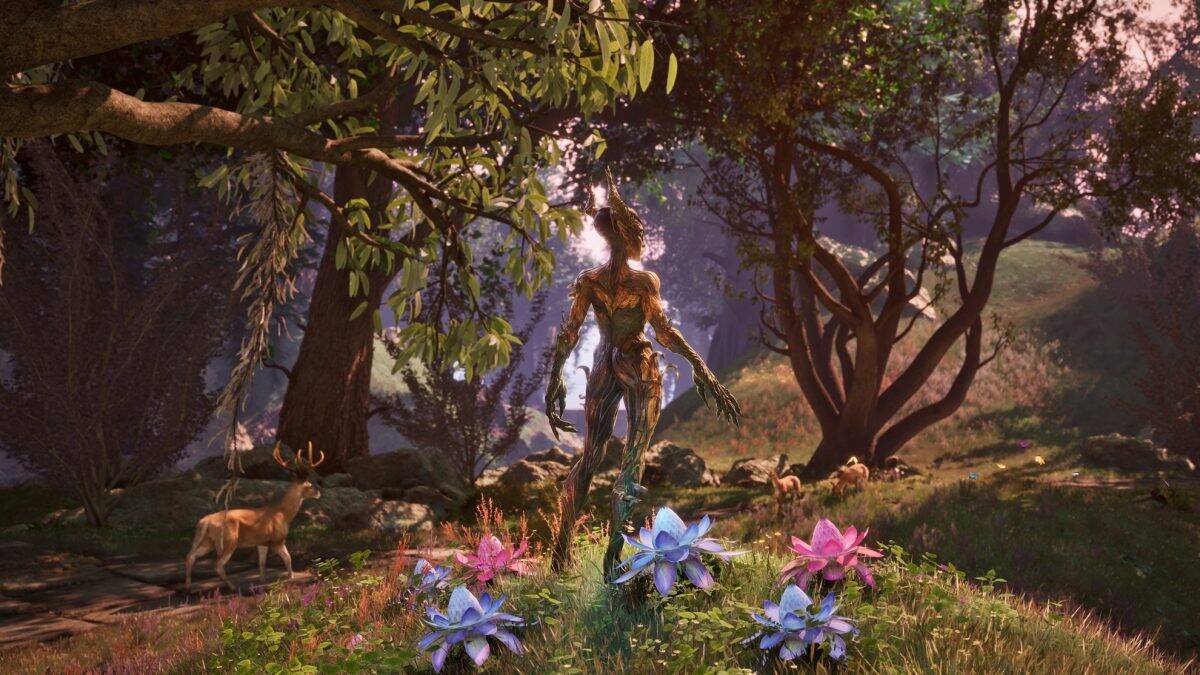 TESIV_Oblivion_image04 | The Outerhaven Oblivion