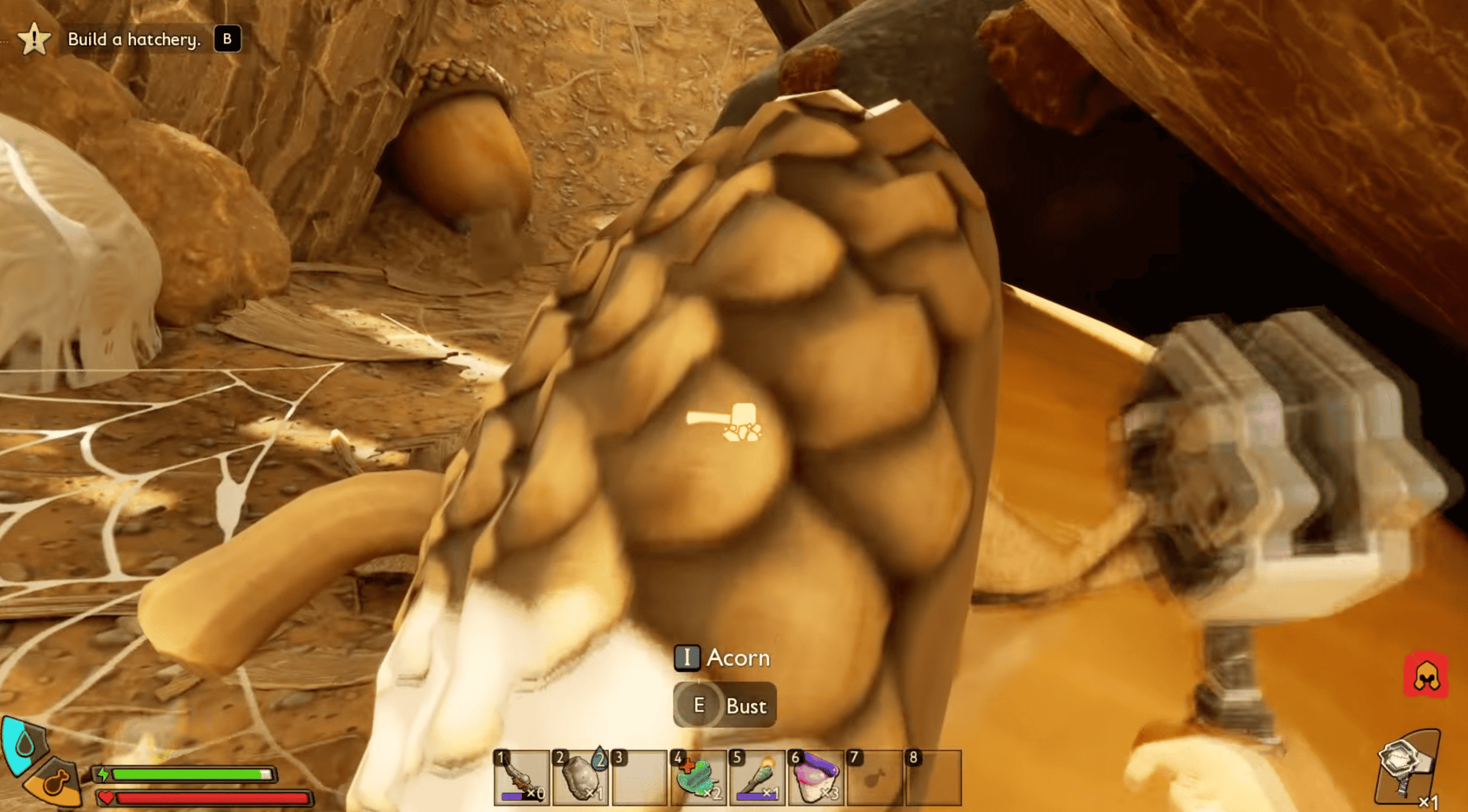 Where to Find Acorns in Grounded 2- | The Outerhaven Where to Find Acorns in Grounded 2